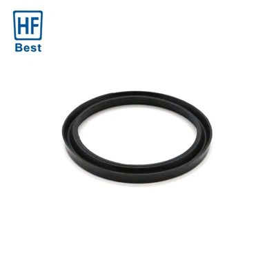 Rubber Lip Seal